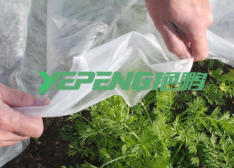 无纺布在农业中的功能与应用