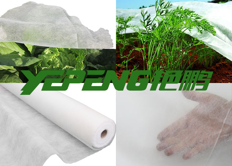无纺布在蔬菜生产中的应用