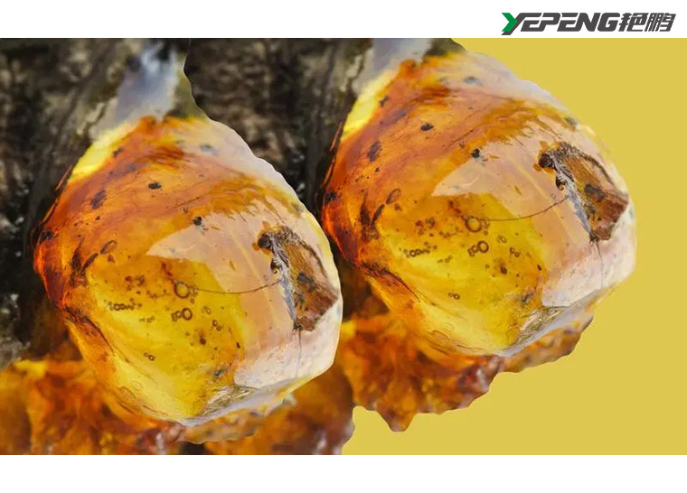 聚丙烯切片的原料要求