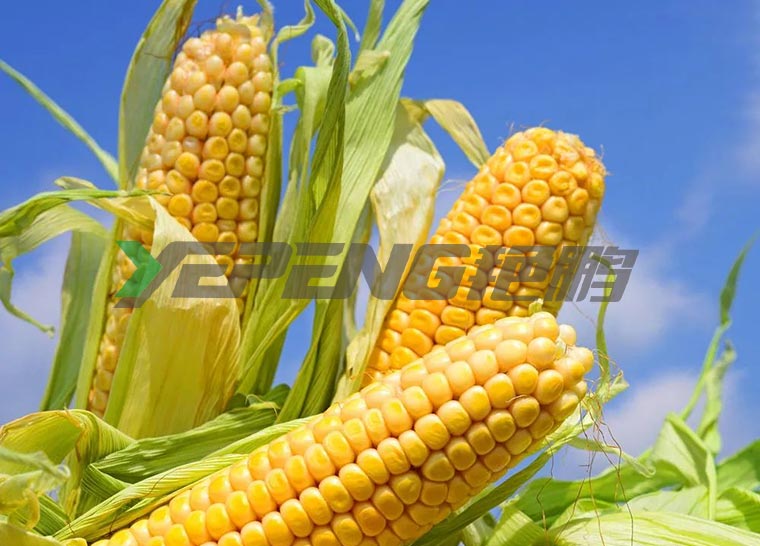 可生物降解聚乳酸无纺布（PLA）